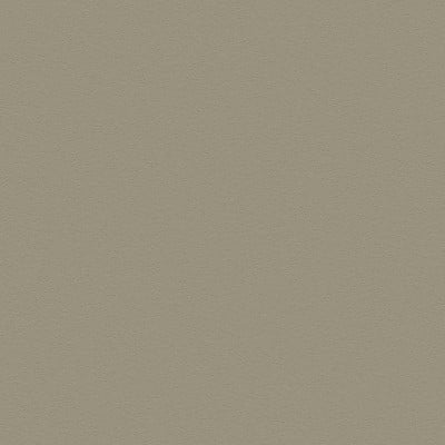 Oyster Grey